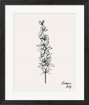 Framed Annual Flowers VII Print