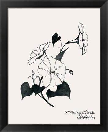 Framed Annual Flowers IX Print