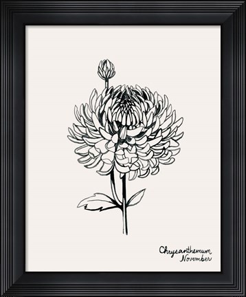 Framed Annual Flowers XI Print
