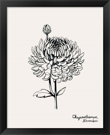 Framed Annual Flowers XI Print