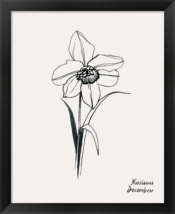 Framed Annual Flowers XII Print