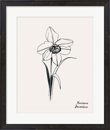 Framed Annual Flowers XII Print