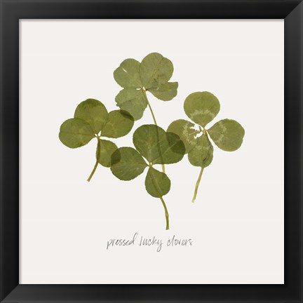 Framed Pressed Clover I Print