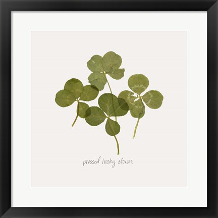 Framed Pressed Clover I Print