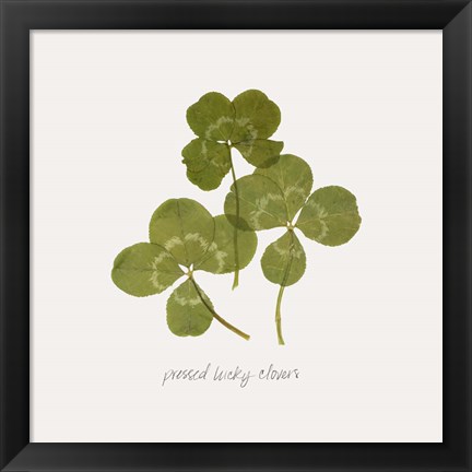 Framed Pressed Clover II Print