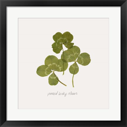 Framed Pressed Clover II Print