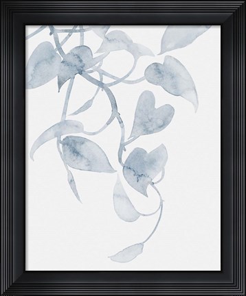 Framed Pothos Penumbra I Print