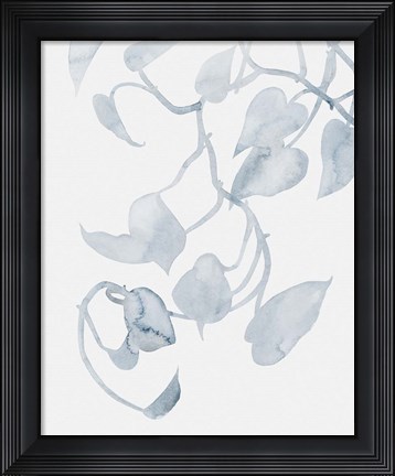 Framed Pothos Penumbra II Print