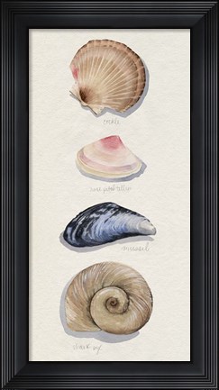 Framed Shore Things I Print