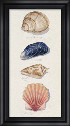 Framed Shore Things II Print
