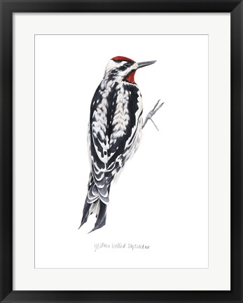 Framed Watercolor Woodpecker I Print