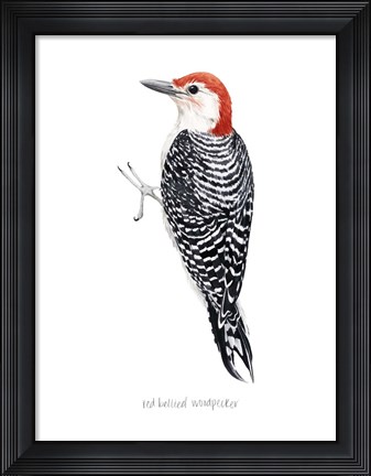 Framed Watercolor Woodpecker III Print