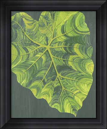 Framed Elephant Ears I Print