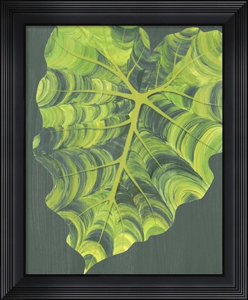 Framed Elephant Ears II Print