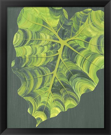 Framed Elephant Ears II Print