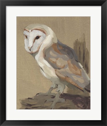 Framed Common Barn Owl Portrait II Print