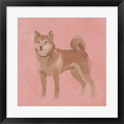 Framed Shiba Inu II Print