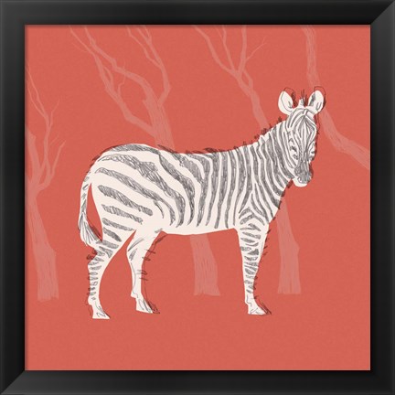 Framed Plains Zebra I Print