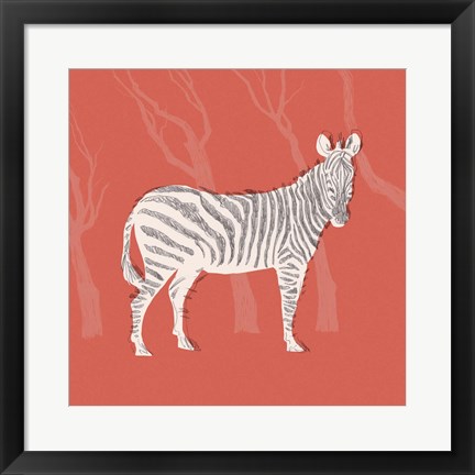 Framed Plains Zebra I Print