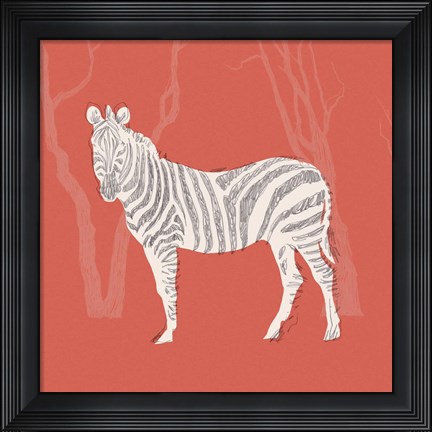 Framed Plains Zebra II Print