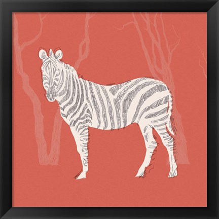 Framed Plains Zebra II Print