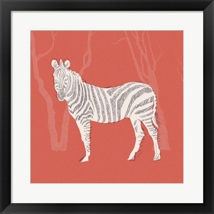 Framed Plains Zebra II Print