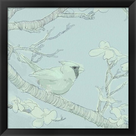 Framed Backyard Bird Sketch I Print