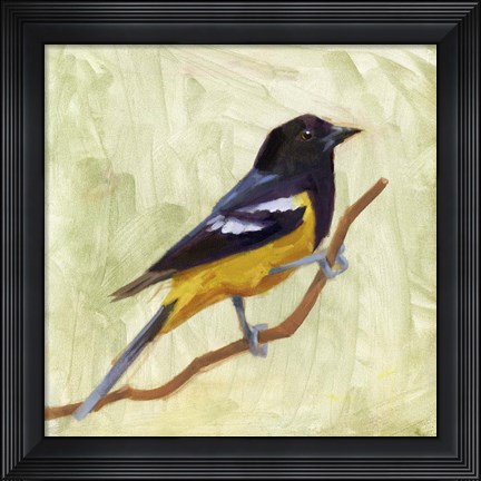 Framed Backyard Birds I Print