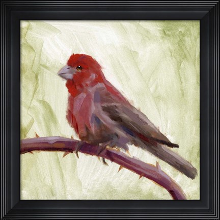 Framed Backyard Birds II Print