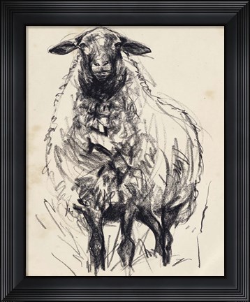 Framed Charcoal Sheep I Print