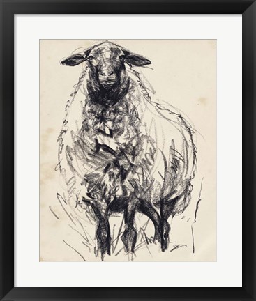 Framed Charcoal Sheep I Print