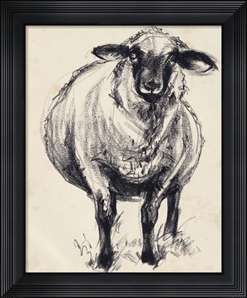 Framed Charcoal Sheep II Print