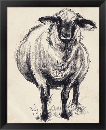 Framed Charcoal Sheep II Print