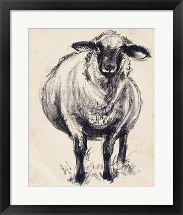 Framed Charcoal Sheep II Print