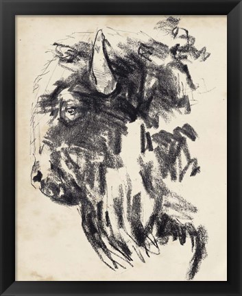 Framed Bison Head Gesture II Print