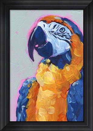 Framed Pop Art Parrot I Print