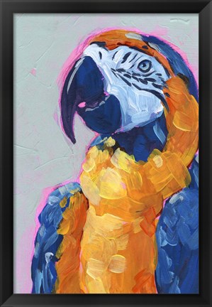 Framed Pop Art Parrot I Print