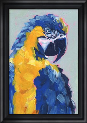 Framed Pop Art Parrot II Print