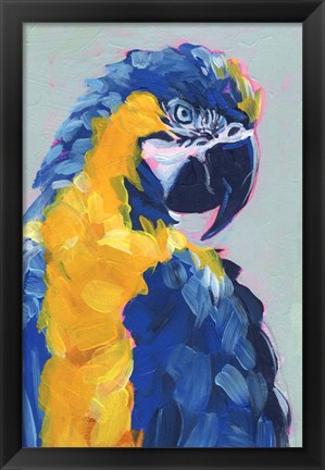 Framed Pop Art Parrot II Print