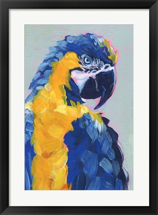 Framed Pop Art Parrot II Print