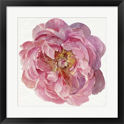 Framed Blossomed Peony II Print