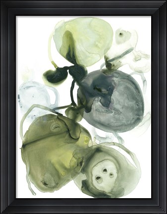 Framed Orbital Lichen I Print