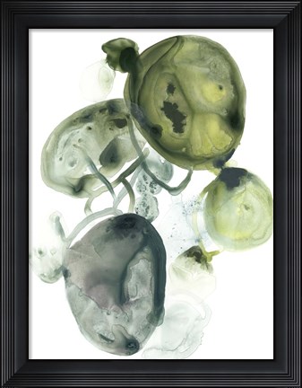 Framed Orbital Lichen II Print