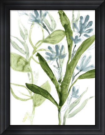 Framed Meadow Blues III Print