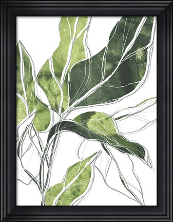 Framed Expressive Palm III Print