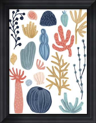 Framed Reef Assortment I Print