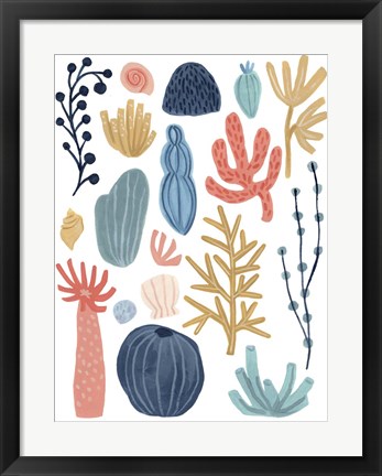 Framed Reef Assortment I Print