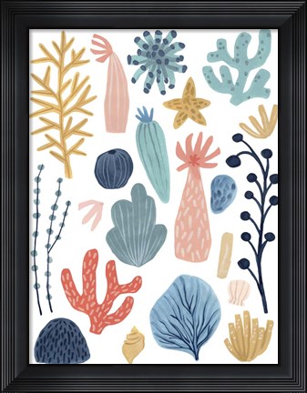 Framed Reef Assortment II Print