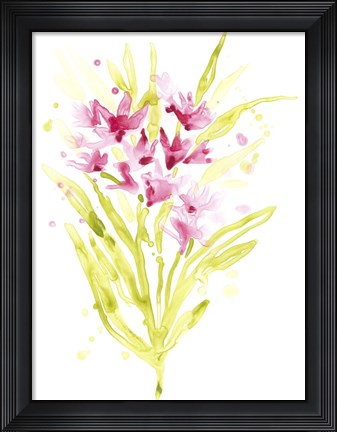 Framed Fuchsia Impulse I Print