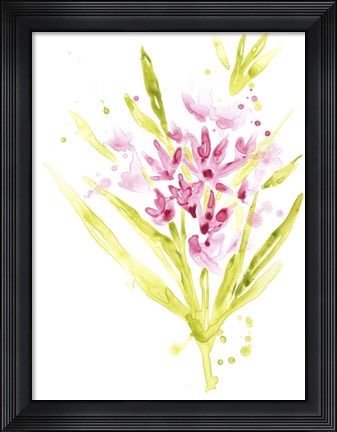 Framed Fuchsia Impulse II Print
